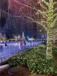 Toronto Wonderland Winterfest is as Beautiful as a Fairy Tale 🎄