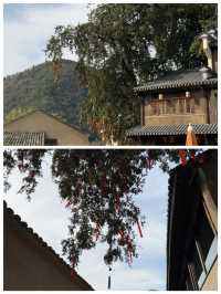 磬安墨林村世外桃源的村子裡休閒養生好