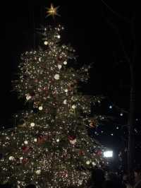 Karuizawa Highland Church Christmas Illumination Requires Advance Reservation
