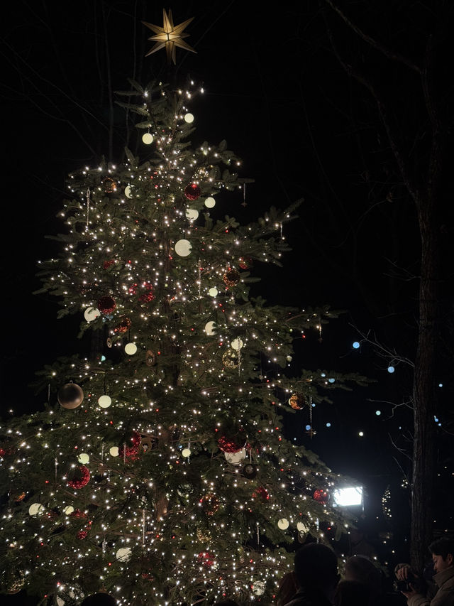 Karuizawa Highland Church Christmas Illumination Requires Advance Reservation