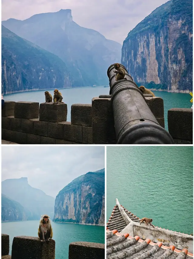 寒假遊玩重慶-長江三峽 美到離譜的旅遊攻略