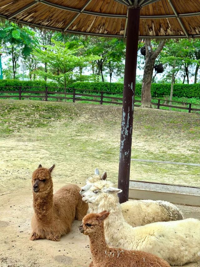 佛山盈香心動樂園也有QQ飛車啦