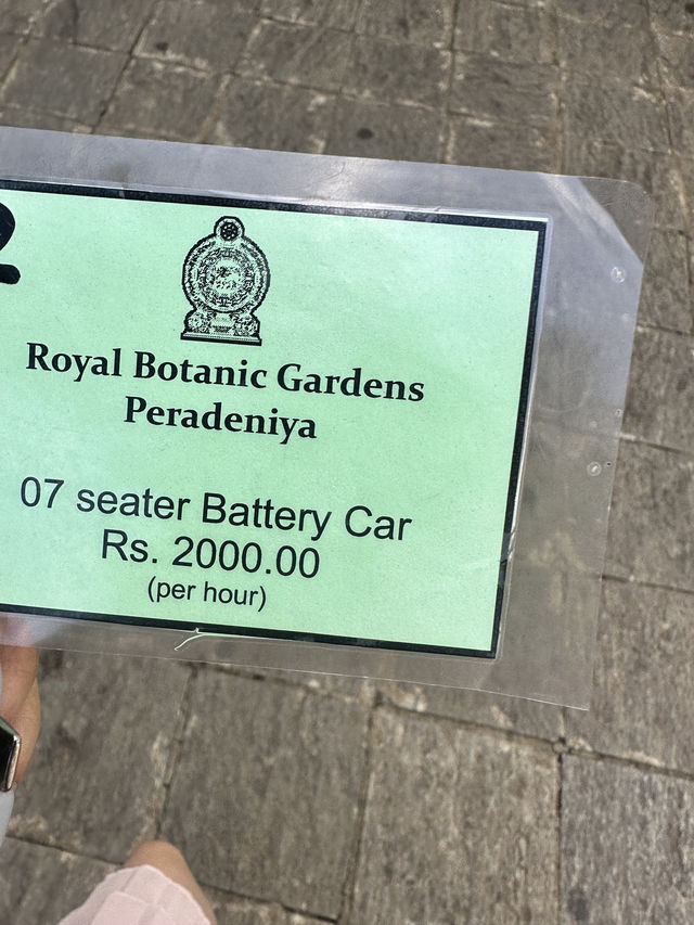 Exploring the Royal Botanic Gardens in Kandy, Sri Lanka