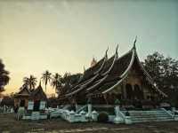 Discover the Charm of Wat Xieng Thong