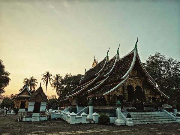 Discover the Charm of Wat Xieng Thong