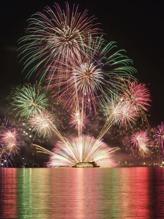 Izu Kawazu Early Cherry Blossom Day Trip｜Round Trip from Tokyo + Atami Fireworks Viewing