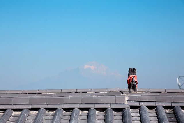 千萬別住這家民宿！我怕你錯過火車
