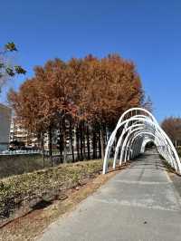 隱藏在城市中的寶藏公園，景美人少，少人知曉