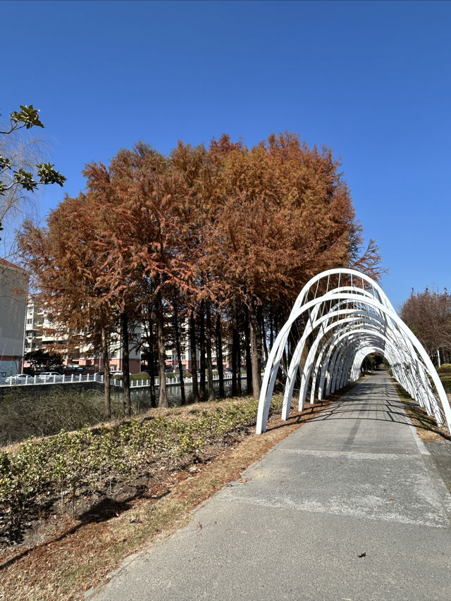 隱藏在城市中的寶藏公園，景美人少，少人知曉