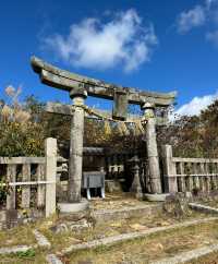 漫步新潟彌彦神社｜邂逅清新雅致的東瀛風情
