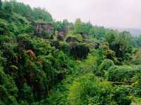 First Line Explorers: Deep Dive Into Hunan Forest "Underleaf" World
