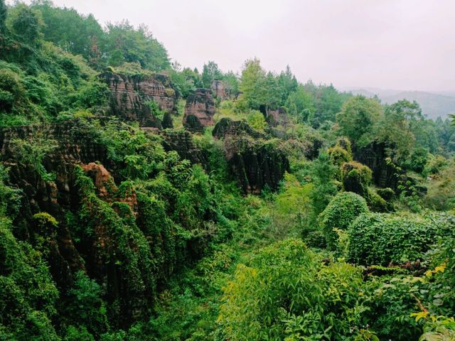 First Line Explorers: Deep Dive Into Hunan Forest "Underleaf" World