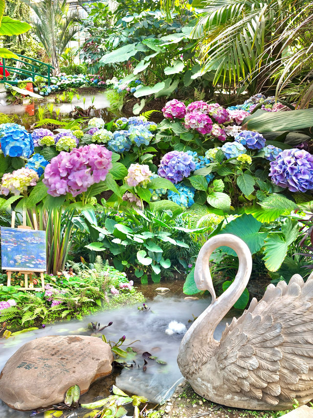 瀋陽植物園｜莫奈花園主題展走進畫裏