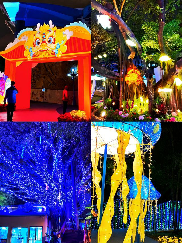 夜遊體驗大揭秘丨廣州海洋館的深海龍宮夜