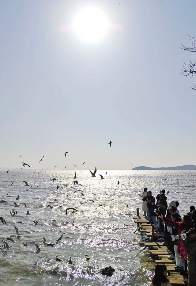 在太湖角打造的詩意藝術空間——暮刻書坊
