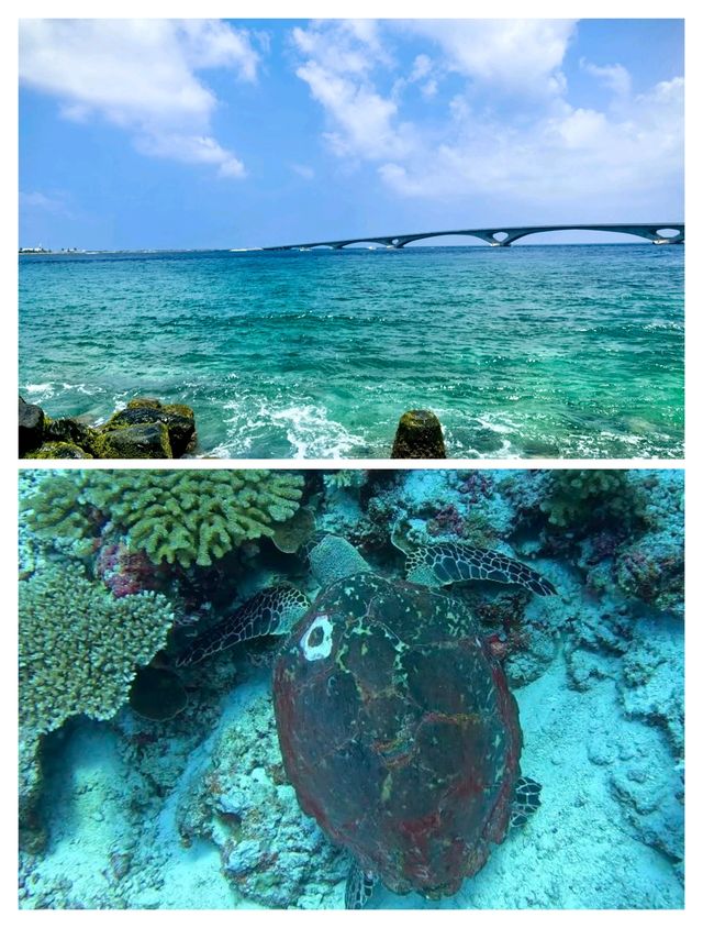 馬爾代夫，潛水度假的夢幻之旅，一生必去！