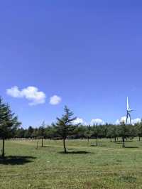 六日揭秘新疆伊犁-赛里木湖 一篇攻略帶你玩轉人間仙境