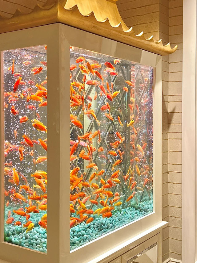 澳門永利皇宮發財魚缸打卡路線