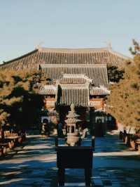 後悔去晚了！義縣奉國寺，梁思成沒騙人！