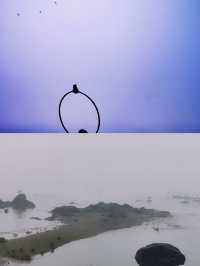 韓國旅行丨開滿了海棠花的安眠島也太美了
