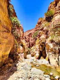 Wadi Ghuweir Oasis: A Hidden Gem in Jordan 🌿✨