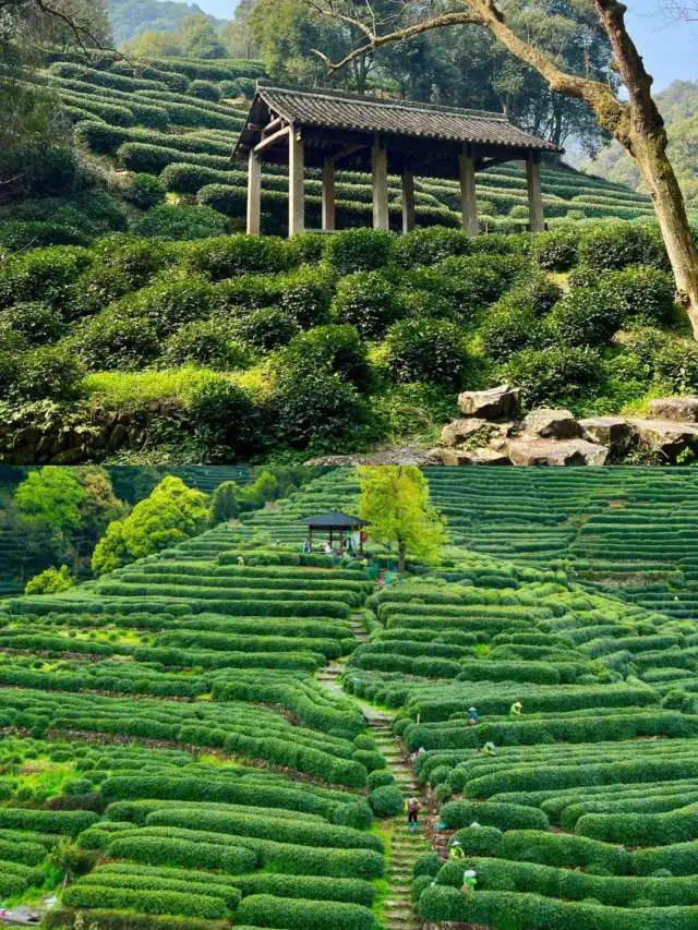 I thought West Lake was beautiful enough, until I went to…