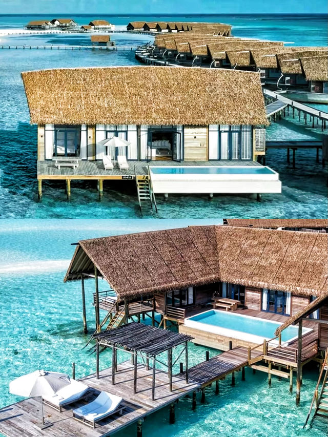 馬爾代夫多尼船屋拖尾美島可可亞