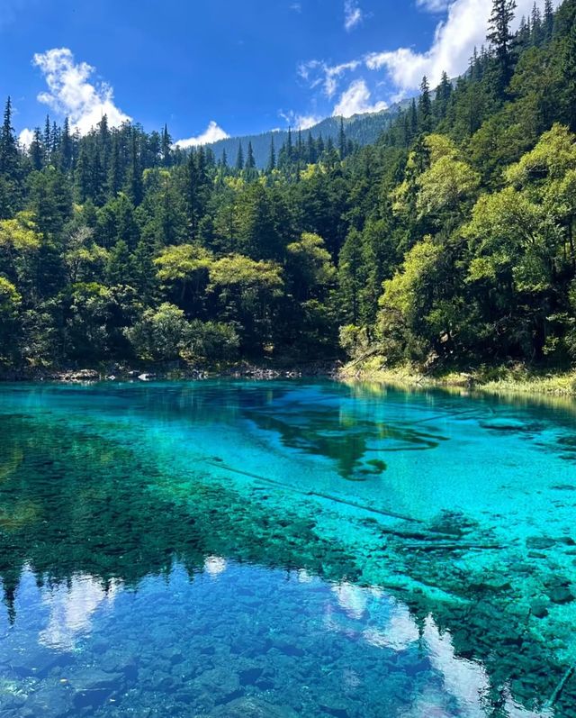 Discover China: A Visa-Free Adventure Awaits!