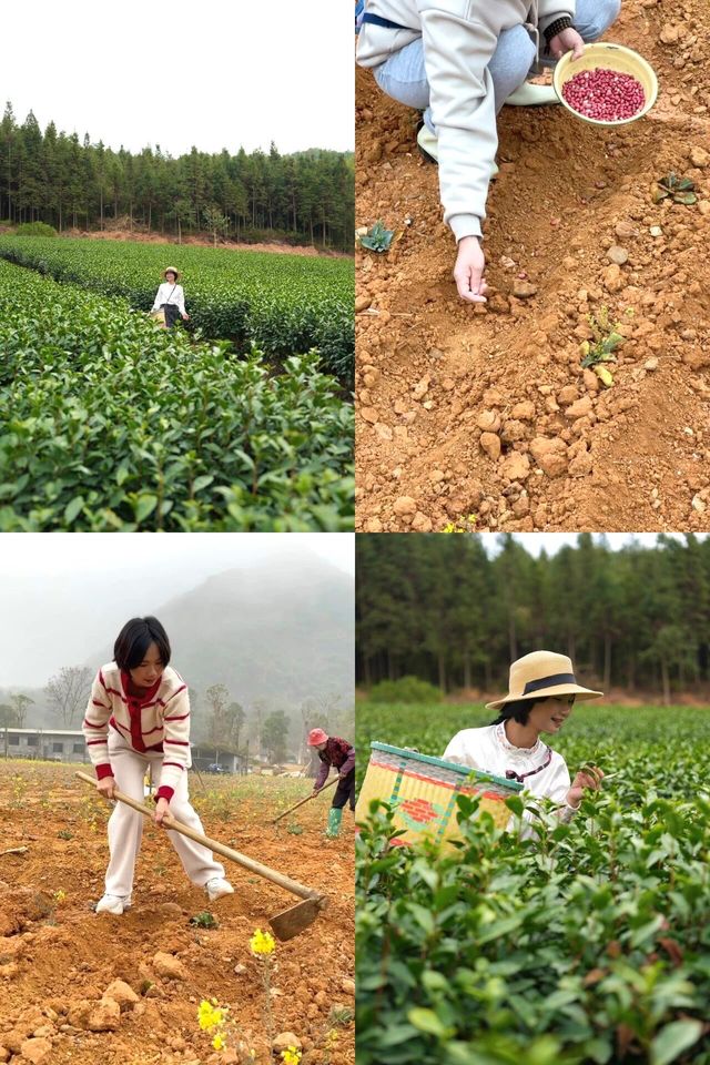 春天，相約東華禪寺清修，感受內心寧靜美好，畀身心放個假吧！