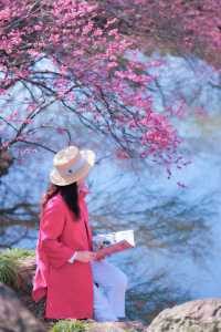 湖州水韻梅香，暢享仙境中的極致風流