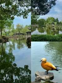 同里國家濕地公園