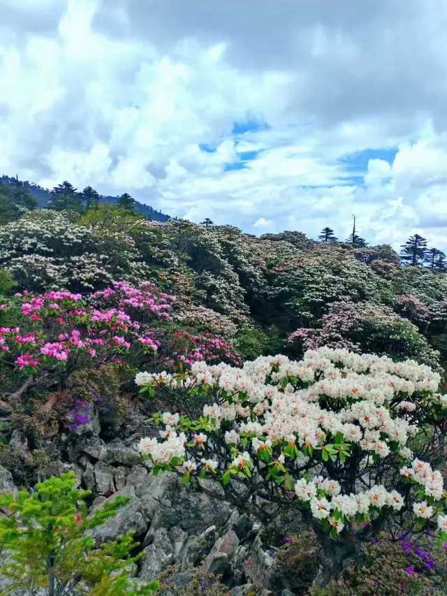 Lijiang's Last Hidden Gem!