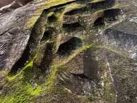 Discover Ancient Rock Carvings: Chongqing Day Tour 