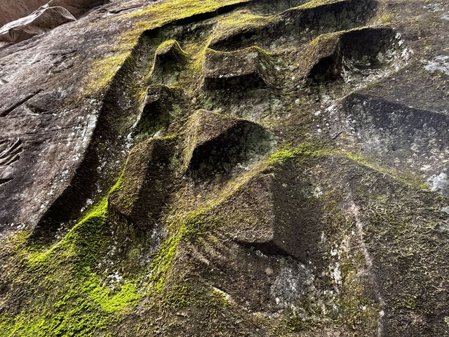 Discover Ancient Rock Carvings: Chongqing Day Tour 