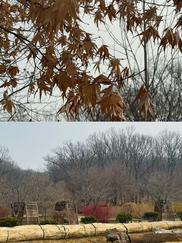 來富川的攻略