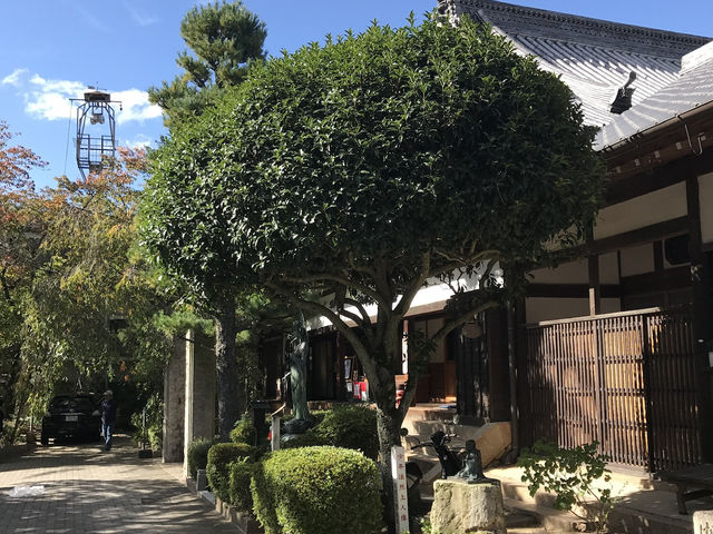 🌸有馬溫泉一日游，赴一場春日治癒之旅🌸