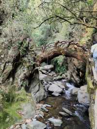 哀牢山石門峽風景區遊玩攻略