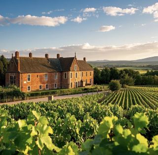 Indulge in Blenheim: Unveiling the Aromatic Secrets of Grove Mill Winery