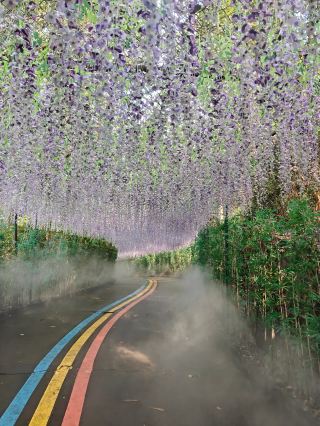 Check in at Dongguan Guanyin Mountain～for a poetic encounter with nature～