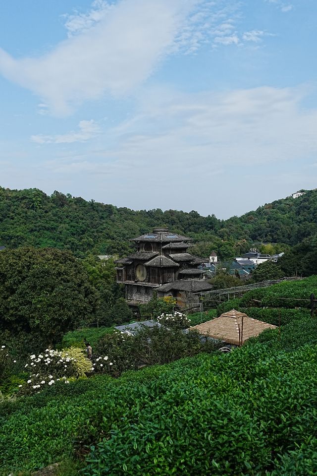 綠蔭深處藏英倫，杭州玫瑰園沉浸式度假指南