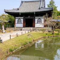 京都🌸3條此生必走的City Walk賞櫻路線