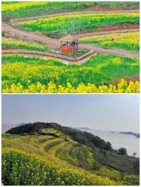 3月象山怎麼玩，看這一篇攻略就夠了！