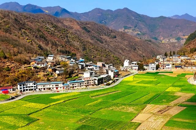 解鎖陝南油菜花海小眾打卡地——水泉坪