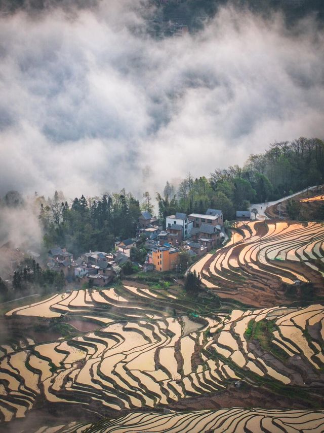 元陽梯田日出