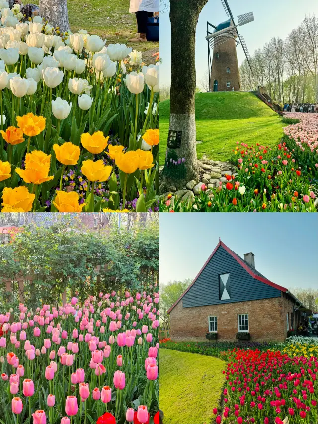 Nanjing Flower Viewing Guide for April: Five Must-See Flower Spots in Spring