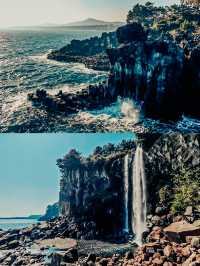 清明節去西歸浦賞油菜花 | 韓國濟州島