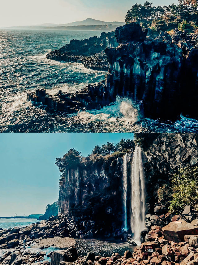 清明節去西歸浦賞油菜花 | 韓國濟州島