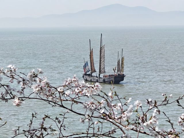 黿頭渚賞櫻省力省時攻略