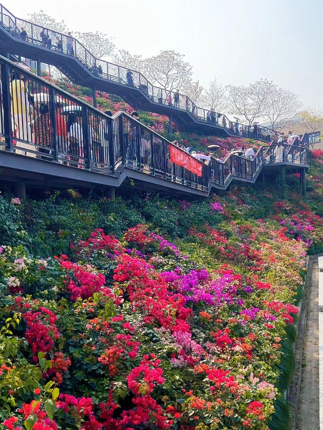 深圳玉龍公園：都市中的靜謐桃源