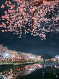 埼玉県東松山市の上沼公園で桜を楽しむ方法